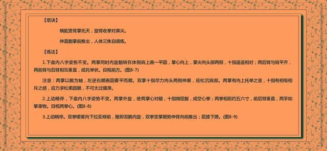道家百年簡單易學(xué)的武術(shù) 獨處可用