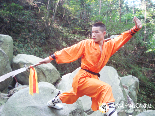 武術(shù)動作發(fā)力：長勁 短勁 順勁 逆勁 掙勁