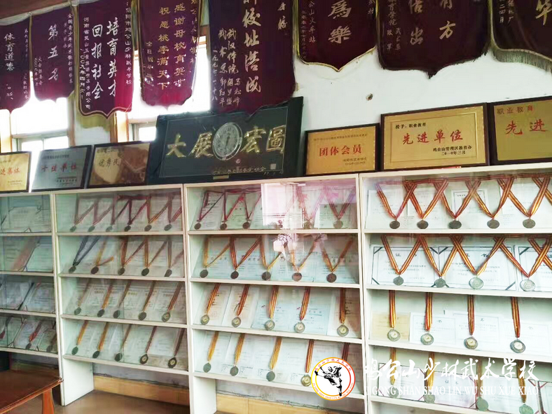 2019上海武術(shù)世錦賽100天倒計時
